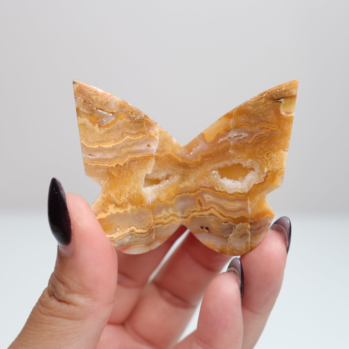 Crazy Lace Agate Butterfly | 10