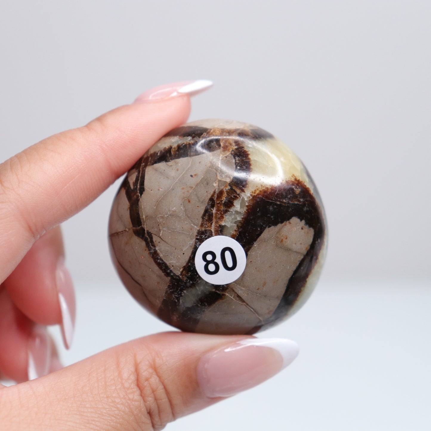 Septarian Palm Stone 80