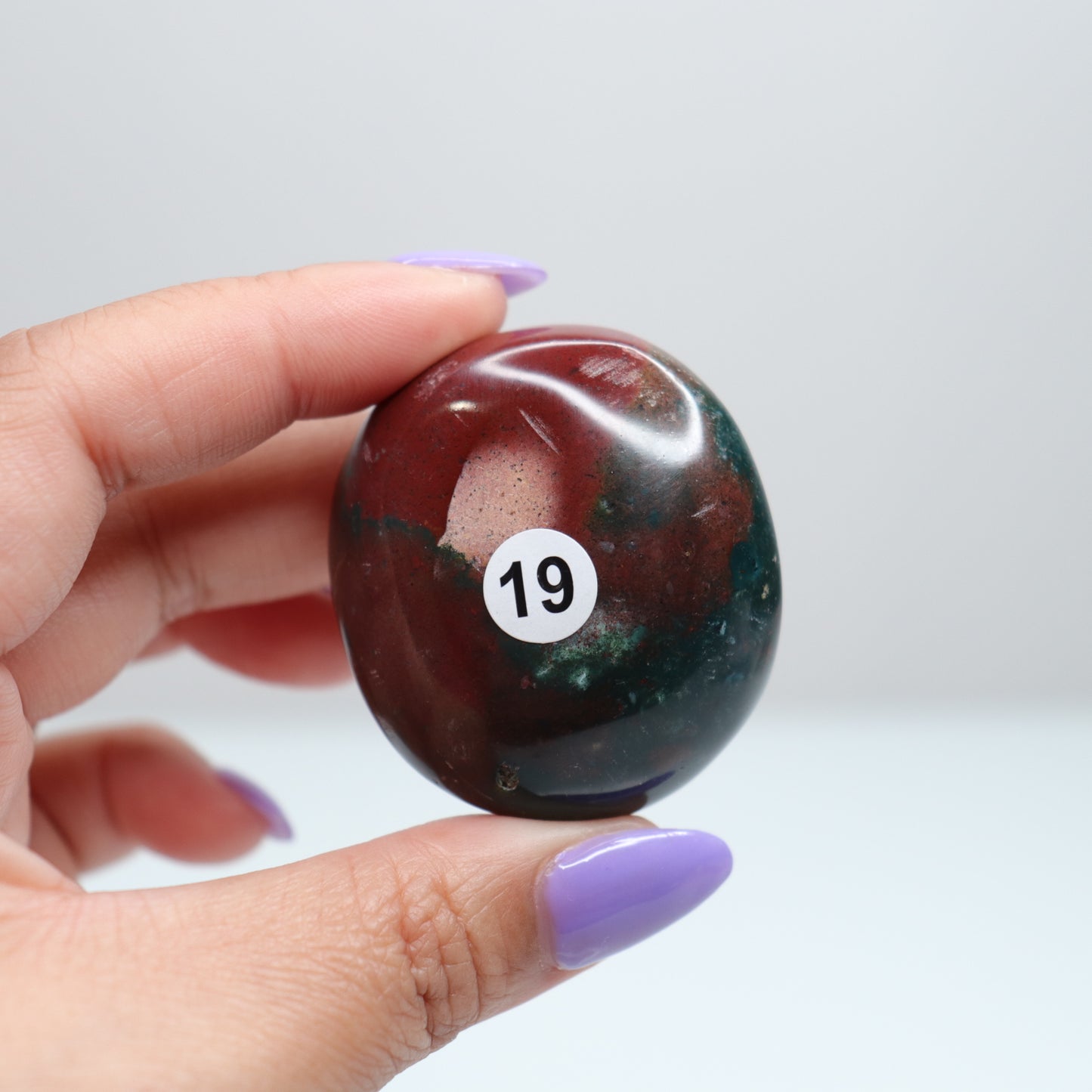 Ocean Jasper Palm Stone | 19