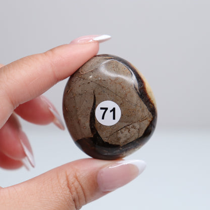 Septarian Palm Stone 71