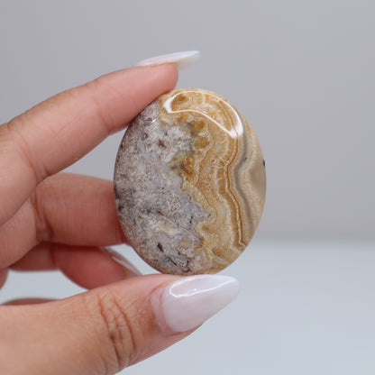 Mexican Lace Agate Palm Stone | 57