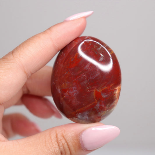 Petrified Wood Palm Stone | 8