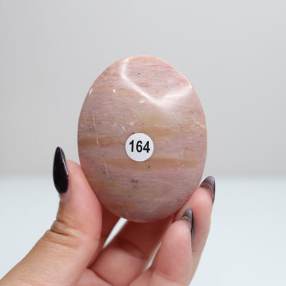 Pink Petrified Wood Palm Stone | 164