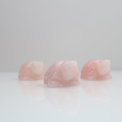 Rose Quartz Turtle | 2"