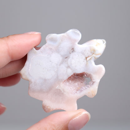 Flower Agate Turtle | 2