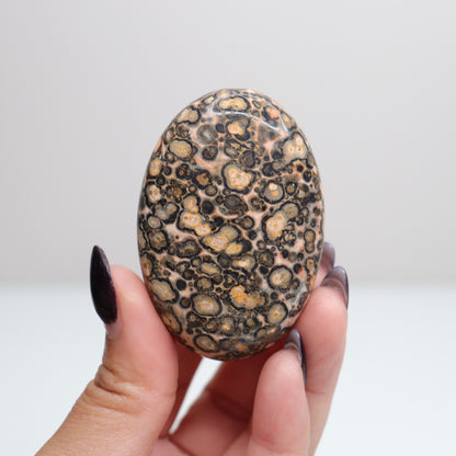 Leopard Skin Jasper Palm Stone | 22