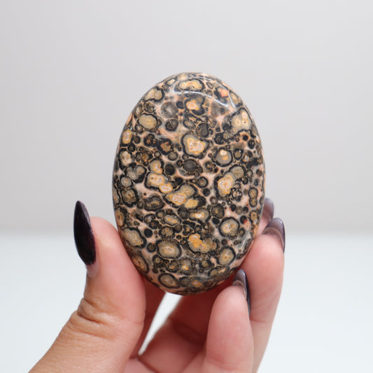 Leopard Skin Jasper Palm Stone | 22