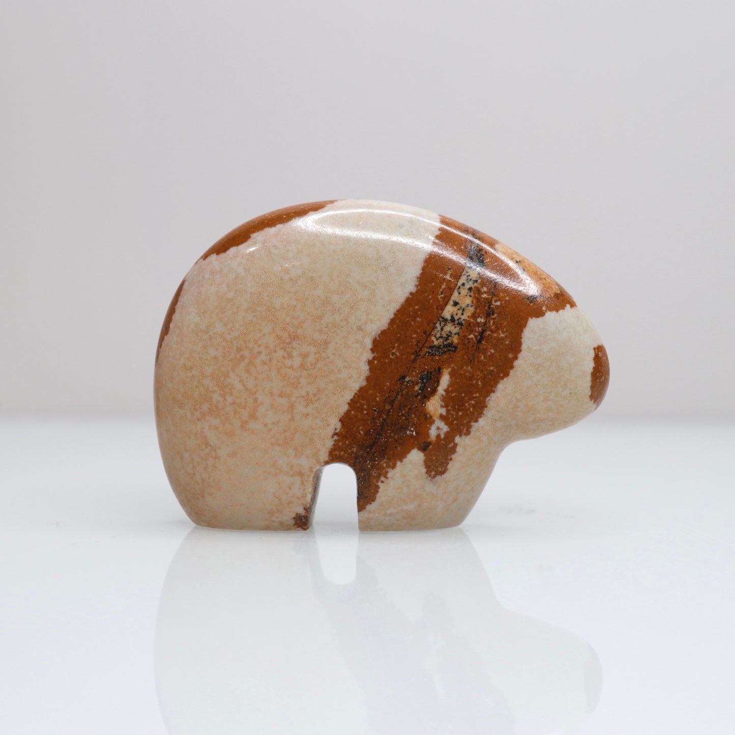 Picture Jasper Bear I