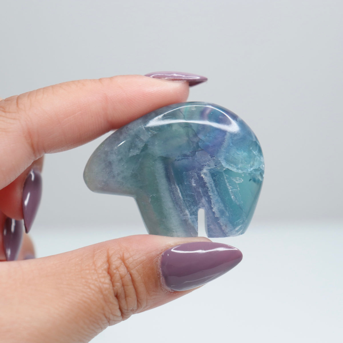 Durango Fluorite Mini Bear 8