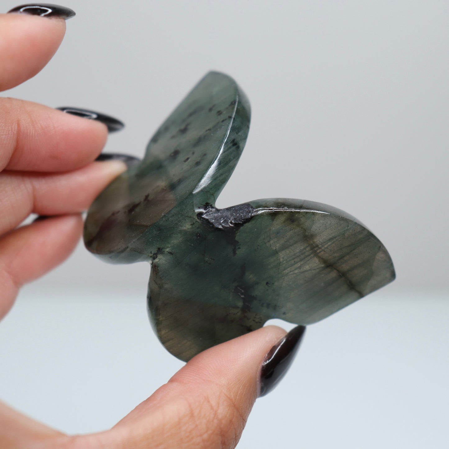 Labradorite Butterfly 8