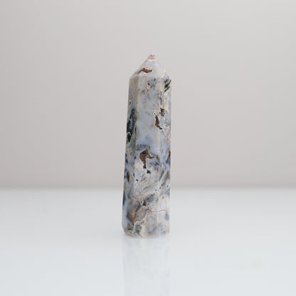 Ocean Jasper Tower | 79