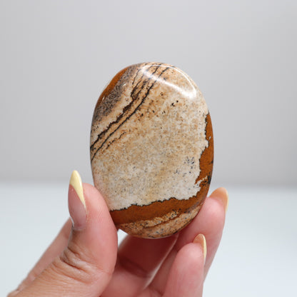 Picture Jasper Palm Stone 13