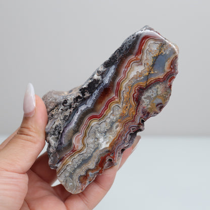 Laguna Lace Agate | M