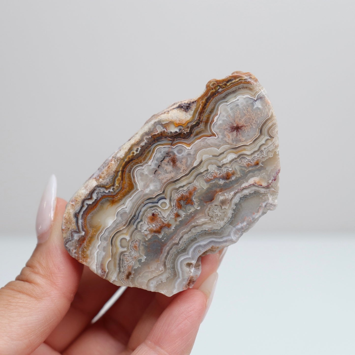Laguna Lace Agate | C