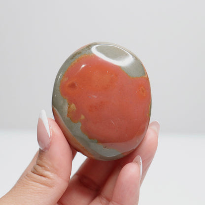 Polychrome Jasper Palm Stone | 19