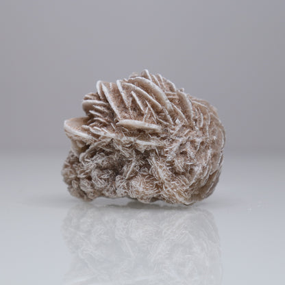 Desert Rose Cluster | 3