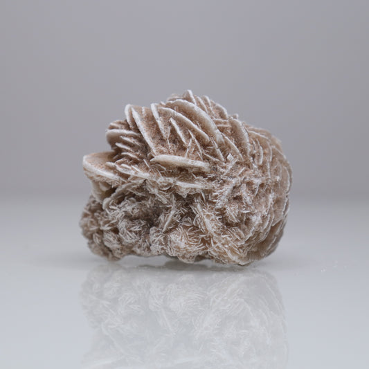 Desert Rose Cluster | 3