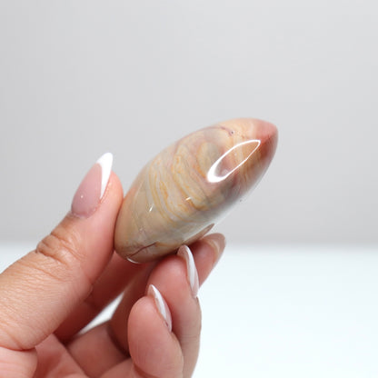 Polychrome Jasper Palm Stone | 10