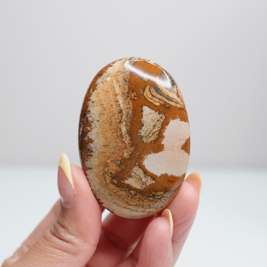 Picture Jasper Palm Stone 14
