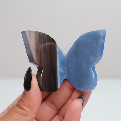 Blue Opal Butterfly 1