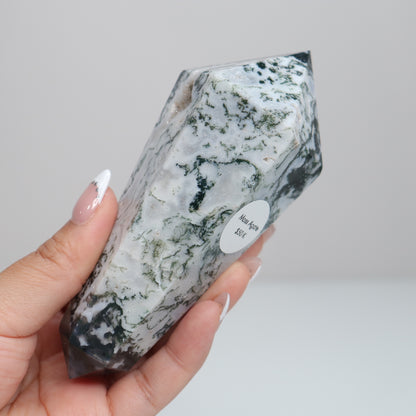 Tree Agate DT. | Large