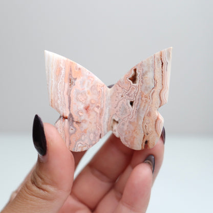 Crazy Lace Agate Butterfly | 12
