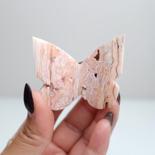 Crazy Lace Agate Butterfly | 12