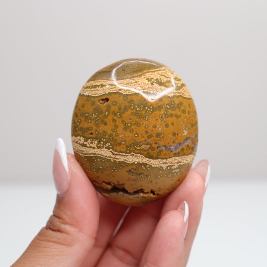 Ocean Jasper Palm Stone | D