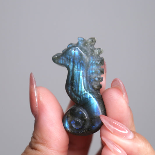 Labradorite Sea Horse | 2