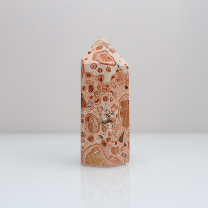 Leopardite Tower | 28