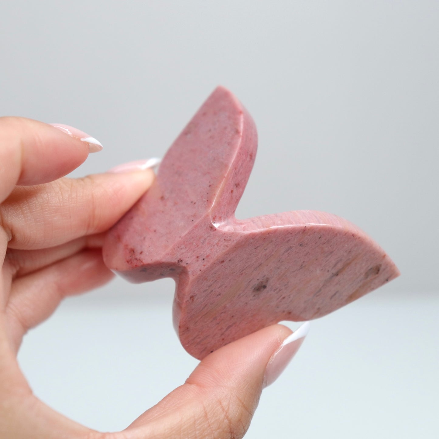 Pink Petrified Wood Butterfly E