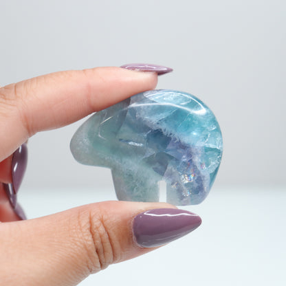 Durango Fluorite Mini Bear 7