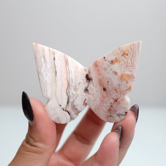 Crazy Lace Agate Butterfly | 13