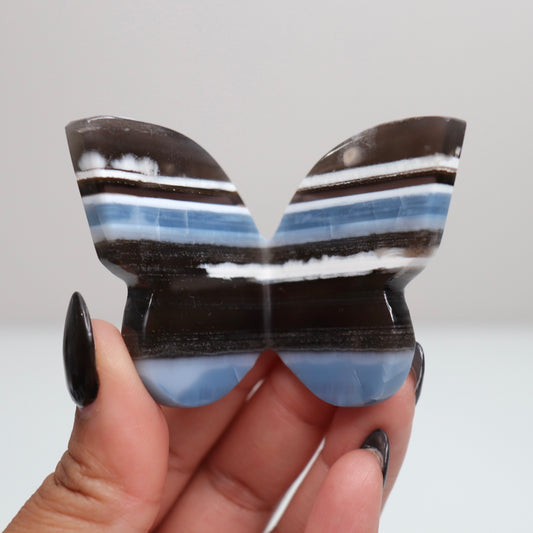 Blue Opal Butterfly 6