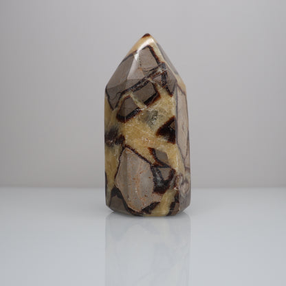 Septarian Tower | 1