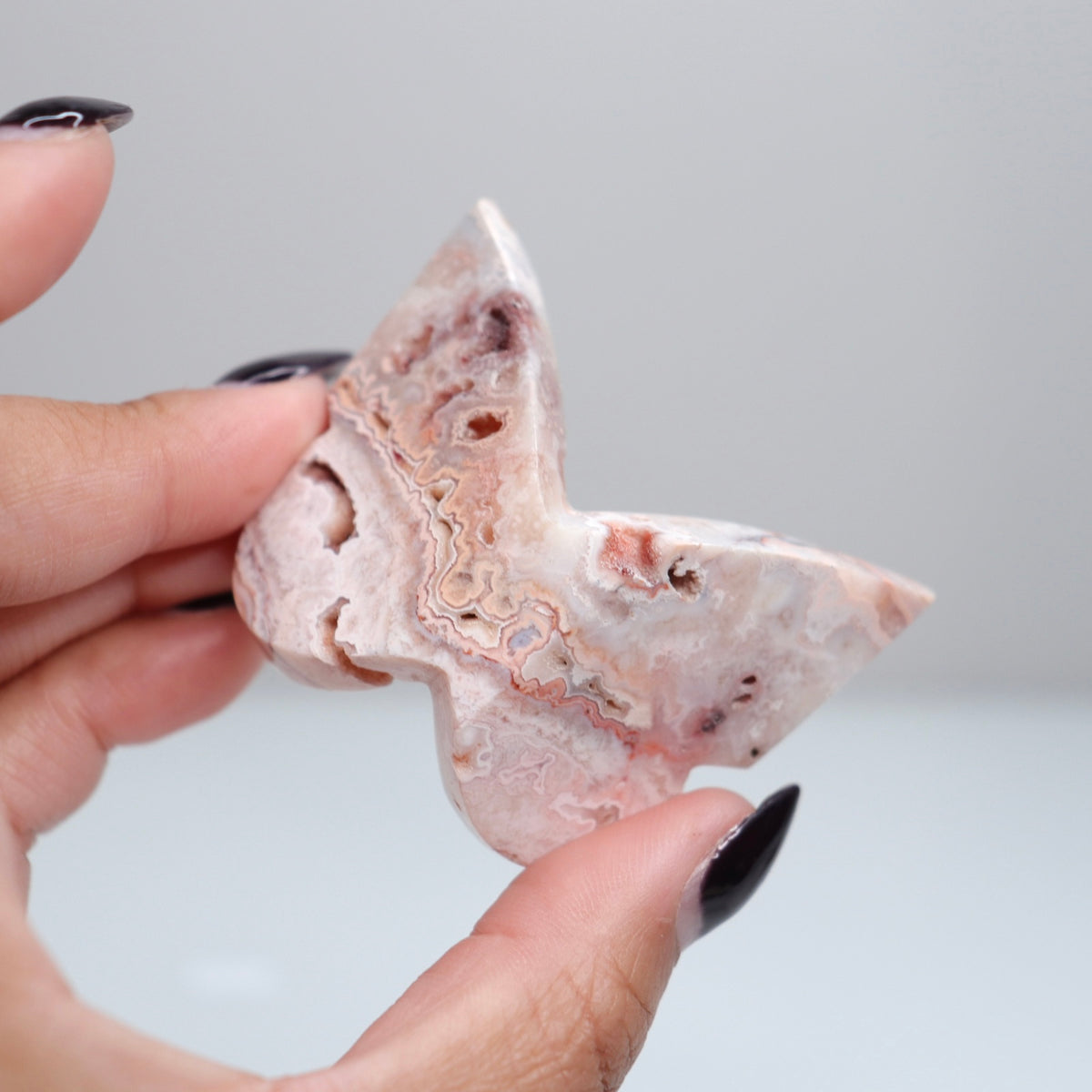 Crazy Lace Agate Butterfly | 14