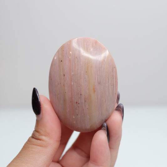 Pink Petrified Wood Palm Stone | 163
