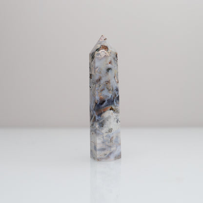 Ocean Jasper Tower | 79