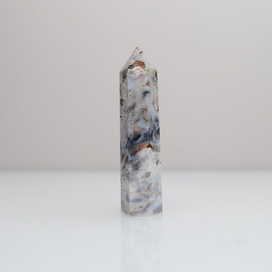 Ocean Jasper Tower | 79