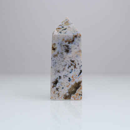 Ocean Jasper Tower | 4