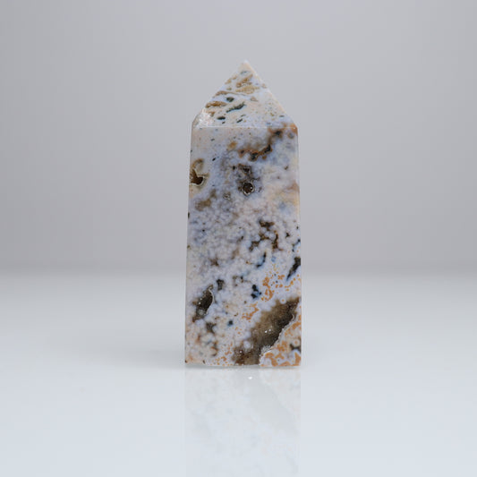 Ocean Jasper Tower | 4