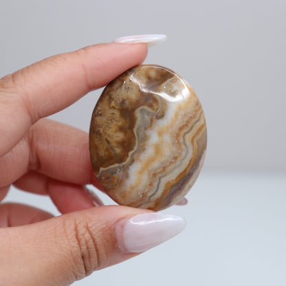Mexican Lace Agate Palm Stone | 50