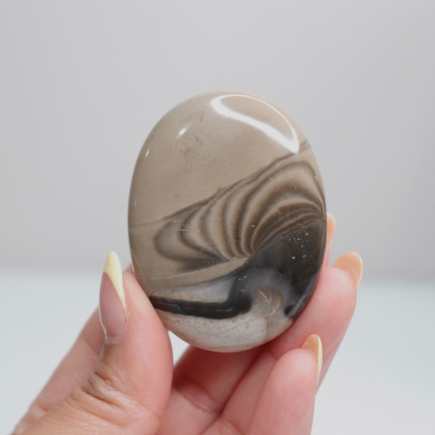 Flint Palm Stone 2