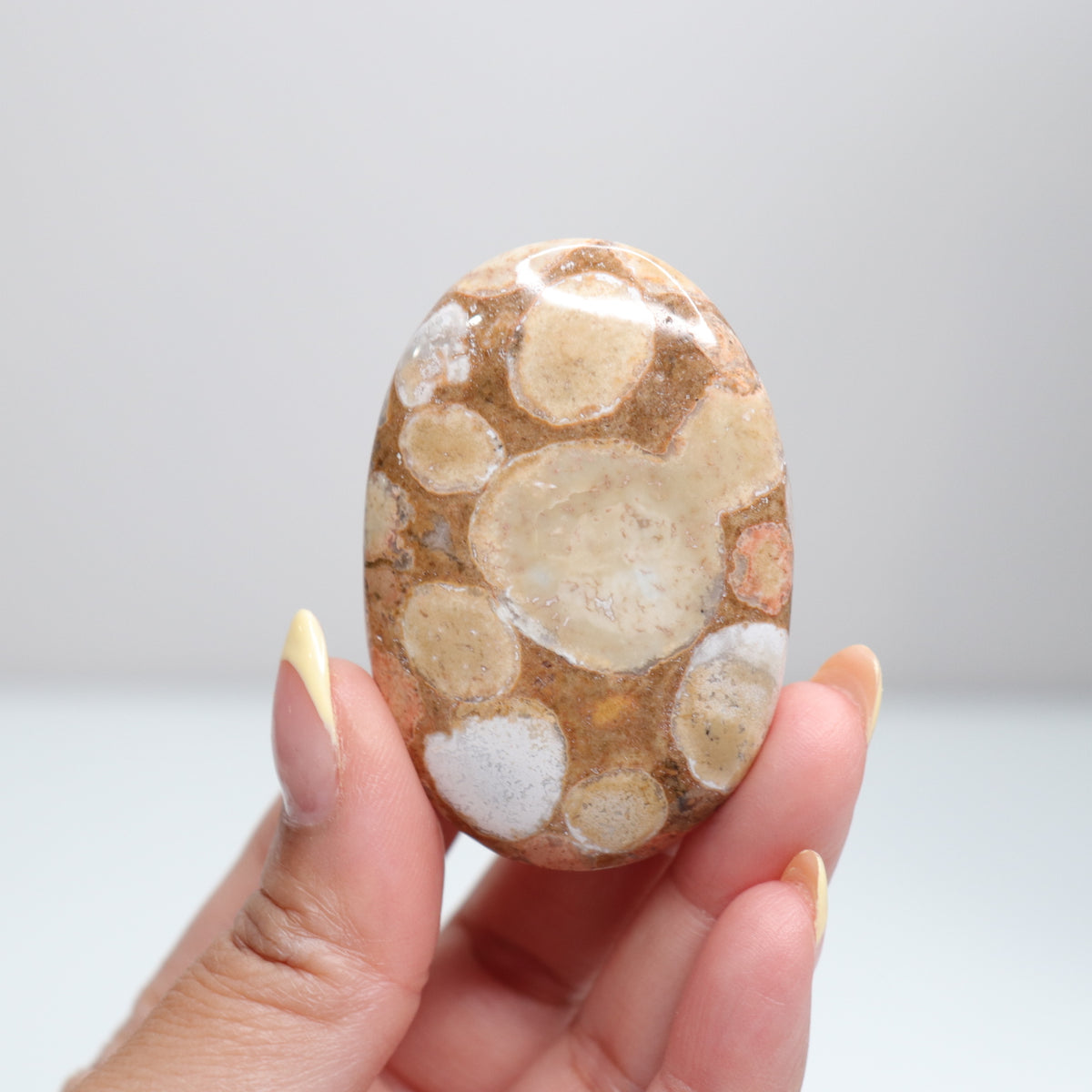 Cobra Jasper Palm Stone 3