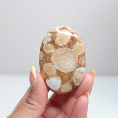 Cobra Jasper Palm Stone 3