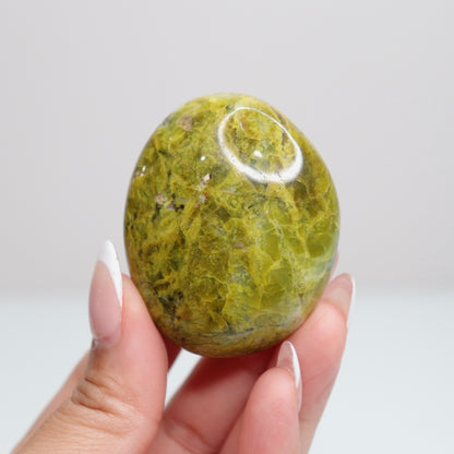 Green Opal Palm Stone 44