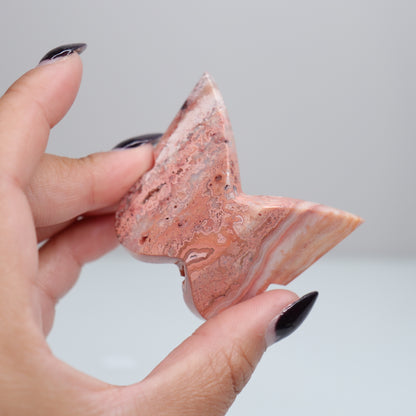 Crazy Lace Agate Butterfly | 19