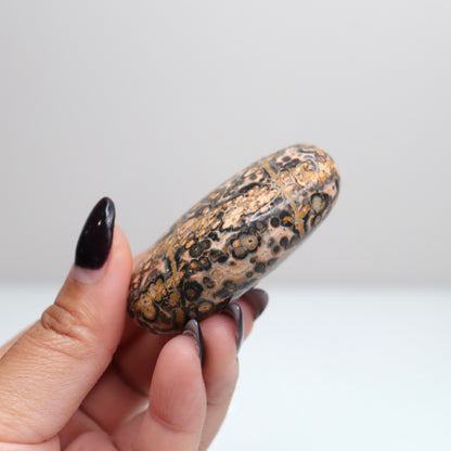 Leopard Skin Jasper Palm Stone | 25