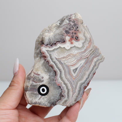 Laguna Lace Agate | O