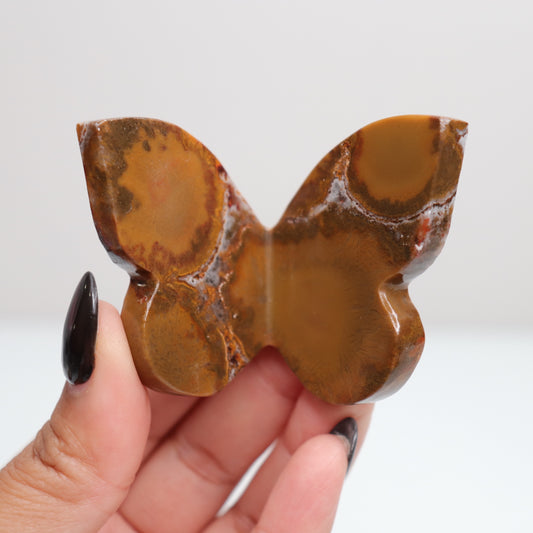 Cobra Jasper Butterfly 3